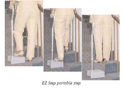 Photo of the EZ Step Portable Step