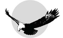 logo for Eagle Springs Programs