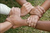 photo of five hands, each grasping the wrist of the other, creating a united bond.